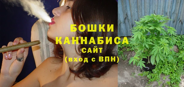 эйфоретик Бородино