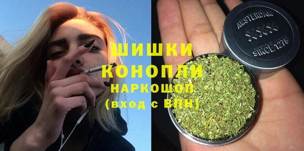 эйфоретик Бородино