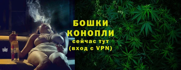 эйфоретик Бородино