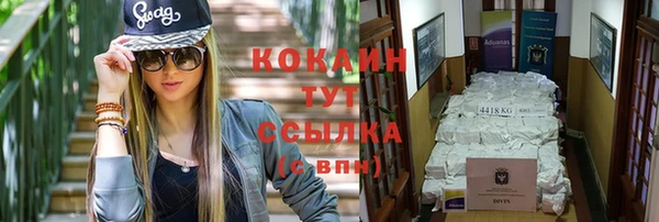 эйфоретик Бородино